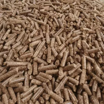 Biomass Fuels