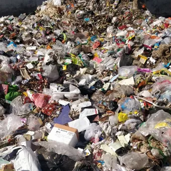 Municipal Solid Waste (MSW)