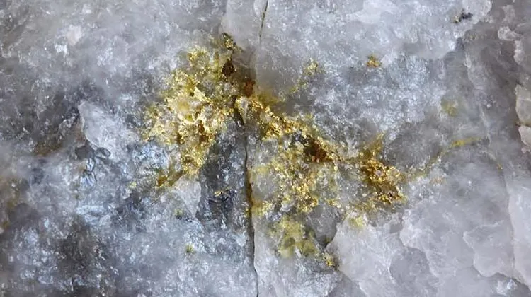 Associated Minerals of Gold Ore