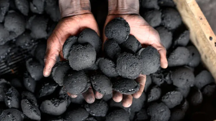 Advantages of Charcoal Briquettes