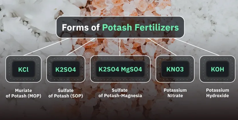 Tipos de fertilizante de potasa granulada