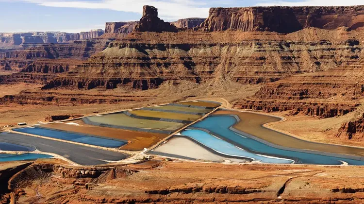 What Are Tailings